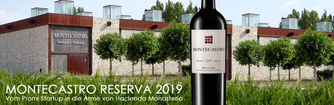 homeseite montecastro