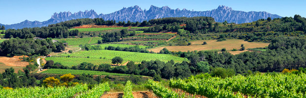 Penedès