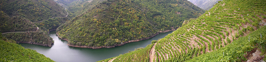 Ribeira Sacra