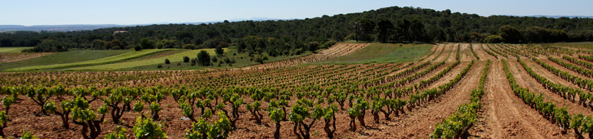 Ribera del Duero