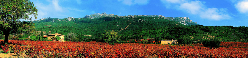 Rioja