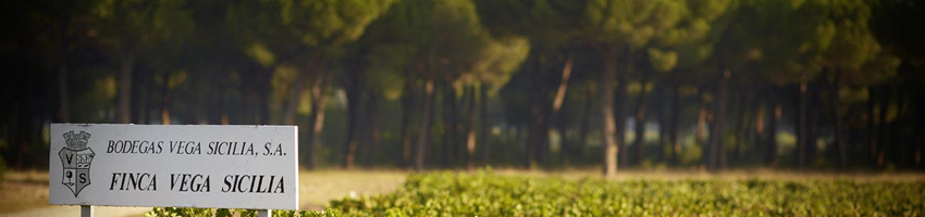 Vega Sicilia