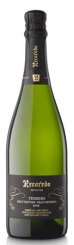 Recaredo TERRERS Brut Nature Gran Reserva 2015 